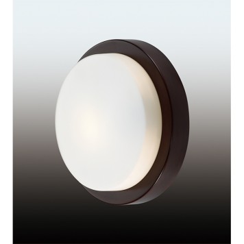 Светильник настенно-потолочный Odeon Light Holger 2744/1C