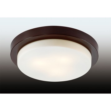 Светильник настенно-потолочный Odeon Light Holger 2744/3C-1