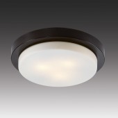 Светильник настенно-потолочный Odeon Light Holger 2744/3C