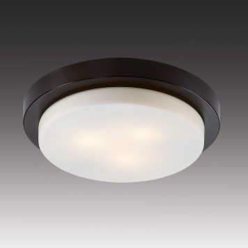 Светильник настенно-потолочный Odeon Light Holger 2744/3C