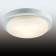 Светильник настенно-потолочный Odeon Light Holger 2745/3C