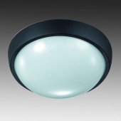 Уличный настенно-потолочный светильник Novotech Opal Led 357186
