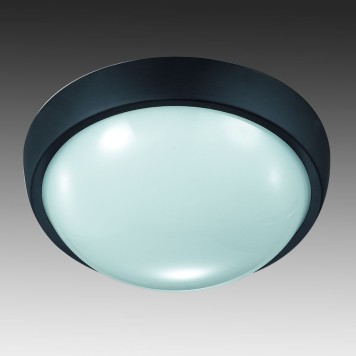 Уличный настенно-потолочный светильник Novotech Opal Led 357186