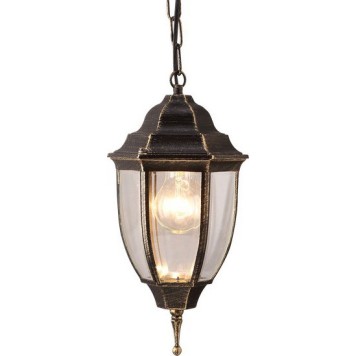 Уличный потолочный светильник Arte Pegasus A3151SO-1BN-1