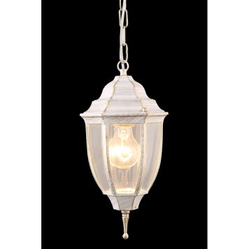 Уличный потолочный светильник Arte Pegasus A3151SO-1WG-1