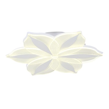 Светильник потолочный Ambrella Acrylica Original AK4315-2