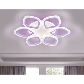 Светильник потолочный Ambrella Acrylica Original FA4175-2