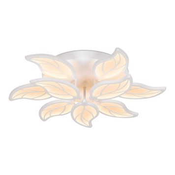 Светильник потолочный Ambrella Acrylica Original FA460-1