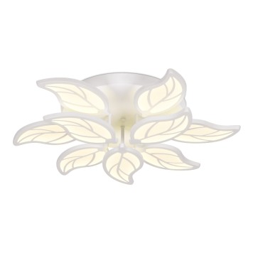 Светильник потолочный Ambrella Acrylica Original FA460