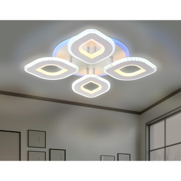 Светильник потолочный Ambrella Acrylica Original FA8841-2