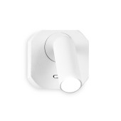 Спот Ambrella Wallers Wall FW282