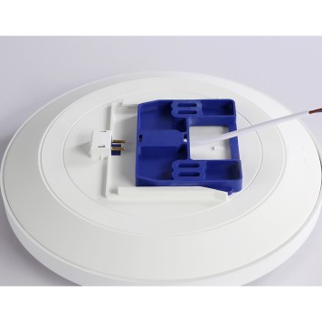 Светильник потолочный Ambrella Orbital FZ1220-5