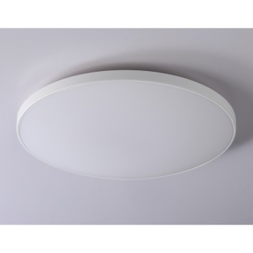 Светильник потолочный Ambrella Orbital FZ1222-2