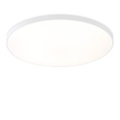 Светильник потолочный Ambrella Orbital FZ1223