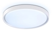 Светильник настенно-потолочный Ambrella Orbital FZ1246