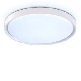 Светильник настенно-потолочный Ambrella Orbital FZ1246