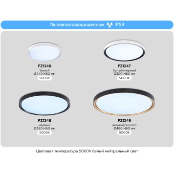 Светильник настенно-потолочный Ambrella Orbital FZ1247-6