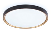 Светильник потолочный Ambrella Orbital FZ1249