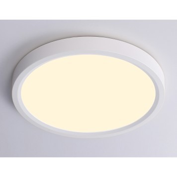 Светильник настенно-потолочный Ambrella Orbital FZ1901-4