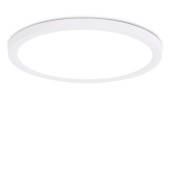 Светильник потолочный Ambrella Orbital FZ1909