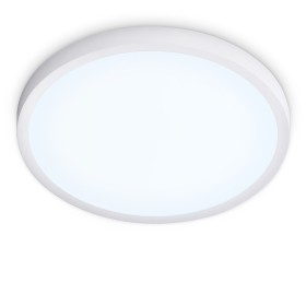 Светильник настенно-потолочный Ambrella Orbital FZ1951