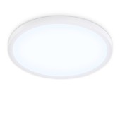 Светильник потолочный Ambrella Orbital FZ1955