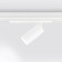Трековый светильник Ambrella Magnetic 220V GL1221