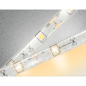 Светодиодная лента Ambrella LED Strip 12V GS1901 Светодиодная лента Ambrella LED Strip 12V GS1901