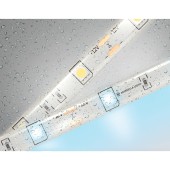 Светодиодная лента Ambrella LED Strip 12V GS1903