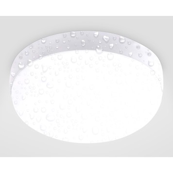 Уличный настенно-потолочный светильник Ambrella Street ST8624-1