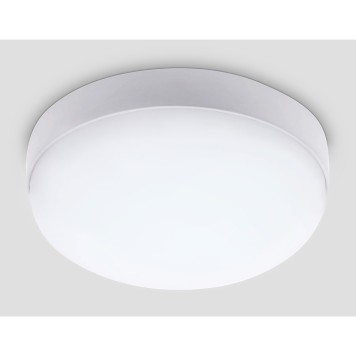 Уличный настенно-потолочный светильник Ambrella Street ST8631-1