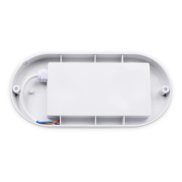 Уличный настенно-потолочный светильник Ambrella Street ST8666-2