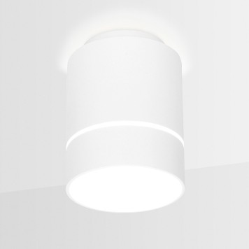 Светильник точечный Ambrella Techno Spot TN256-2