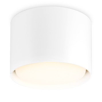 Светильник точечный Ambrella Techno Spot TN5301