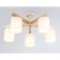Светильник потолочный Ambrella Traditional TR83113