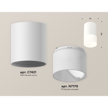 Светильник точечный Ambrella Techno Spot XS7421025-2