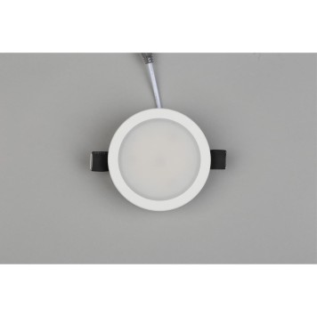 Светильник точечный Aployt Nastka APL.0014.09.09-5