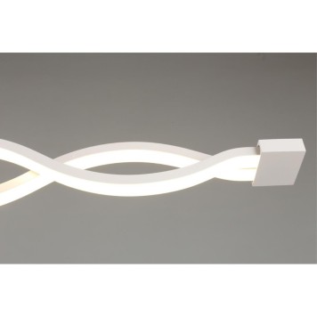 Светильник настенно-потолочный Aployt Nadayn APL.002.02.36-3