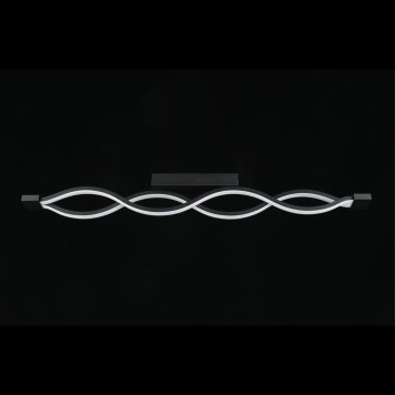 Светильник настенно-потолочный Aployt Nadayn APL.002.12.36-12