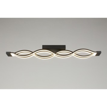 Светильник потолочный Aployt Nadayn APL.002.17.72-9