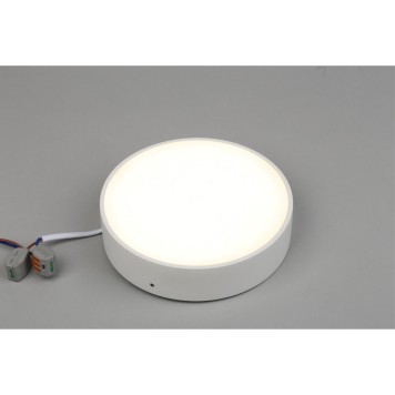 Светильник точечный Aployt Evon APL.0113.09.18-3