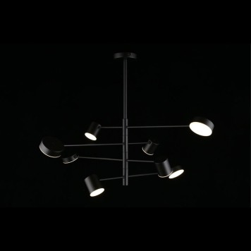 Светильник потолочный Aployt Frania APL.017.07.48-2