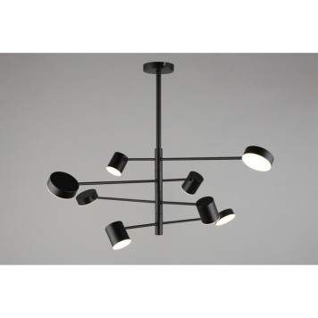 Светильник потолочный Aployt Frania APL.017.07.48-10