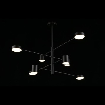 Светильник потолочный Aployt Frania APL.017.07.48-12