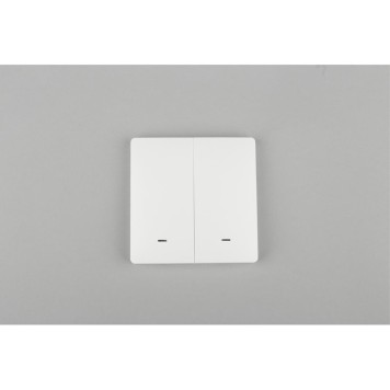 Выключатель двухклавишный Aployt Magnetic track 220 APL.0190.00.02-2