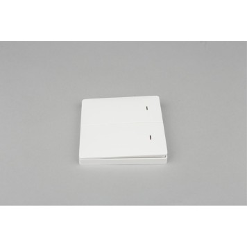 Выключатель двухклавишный Aployt Magnetic track 220 APL.0190.00.02-3