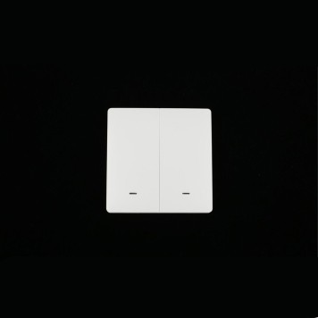 Выключатель двухклавишный Aployt Magnetic track 220 APL.0190.00.02-7