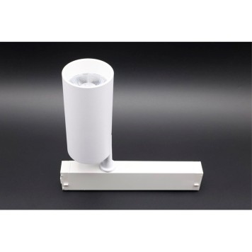 Трековый светильник Aployt Magnetic Track 220 APL.0205.10.20-8