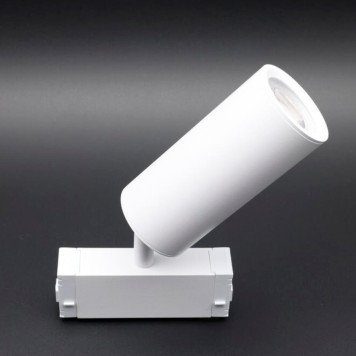 Трековый светильник Aployt Magnetic Track 220 APL.0209.11.01-6