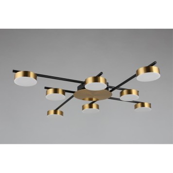 Светильник потолочный Aployt Delayn APL.042.07.56-1